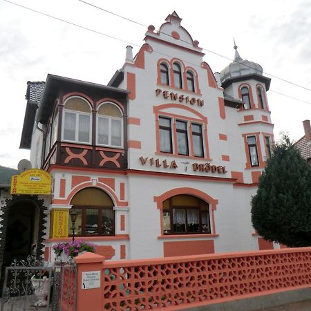 Pension Villa Broedel Бад Бланкенбург Екстериор снимка